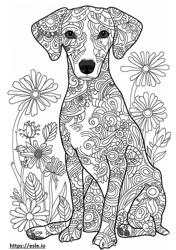 Coloriage Foxhound américain heureux à imprimer