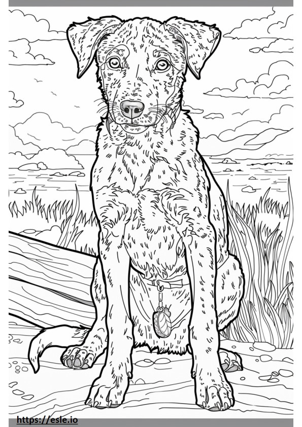 American Foxhound happy coloring page