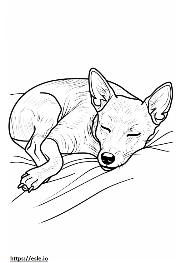 Tidur Foxhound Amerika gambar mewarnai