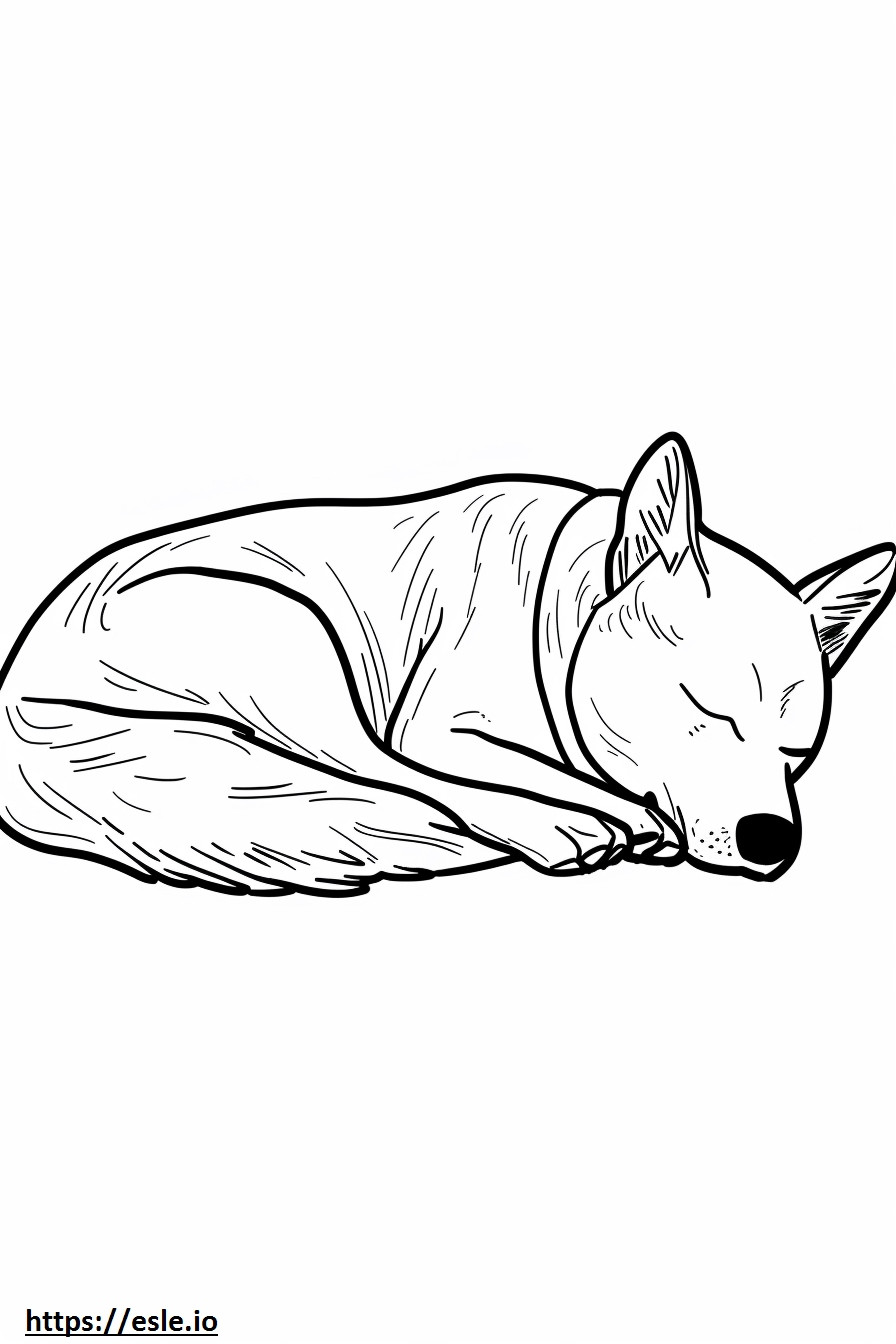 American Foxhound Sleeping coloring page
