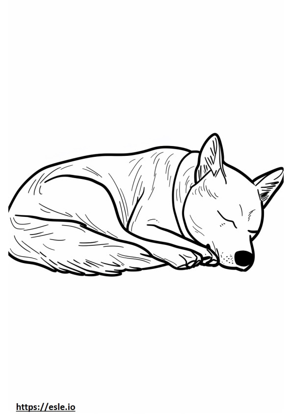 Amerikaanse Foxhound-slaap kleurplaat
