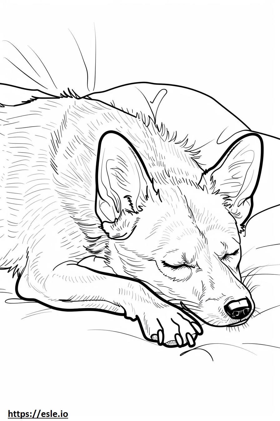 Amerikanischer Foxhound schläft ausmalbild