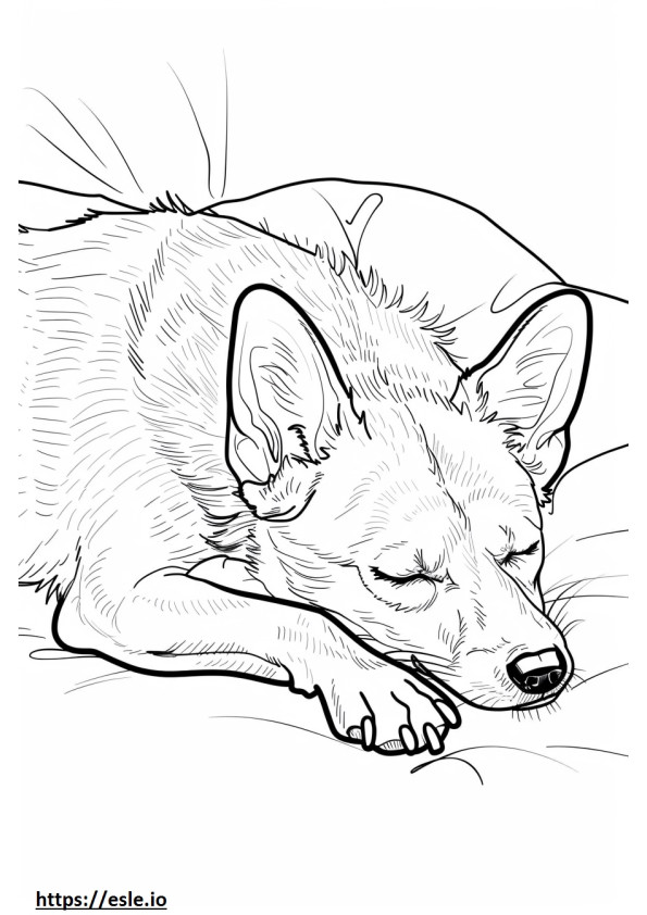 Tidur Foxhound Amerika gambar mewarnai