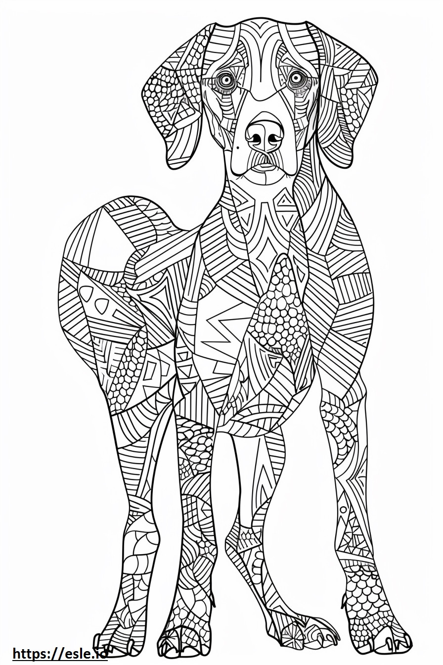 Foxhound american care se joacă de colorat