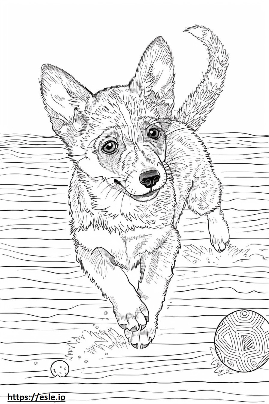Amerikanischer Foxhound spielt ausmalbild