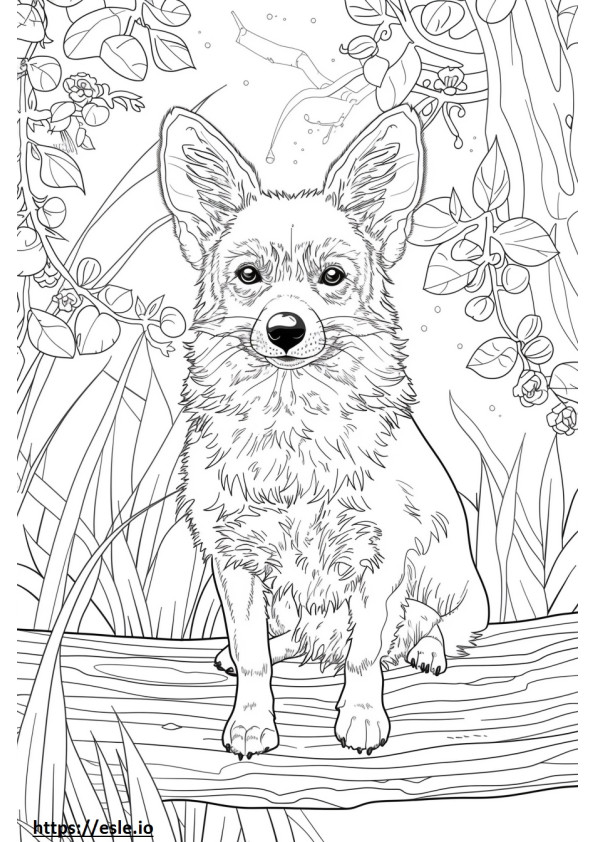 American Foxhound Kawaii coloring page