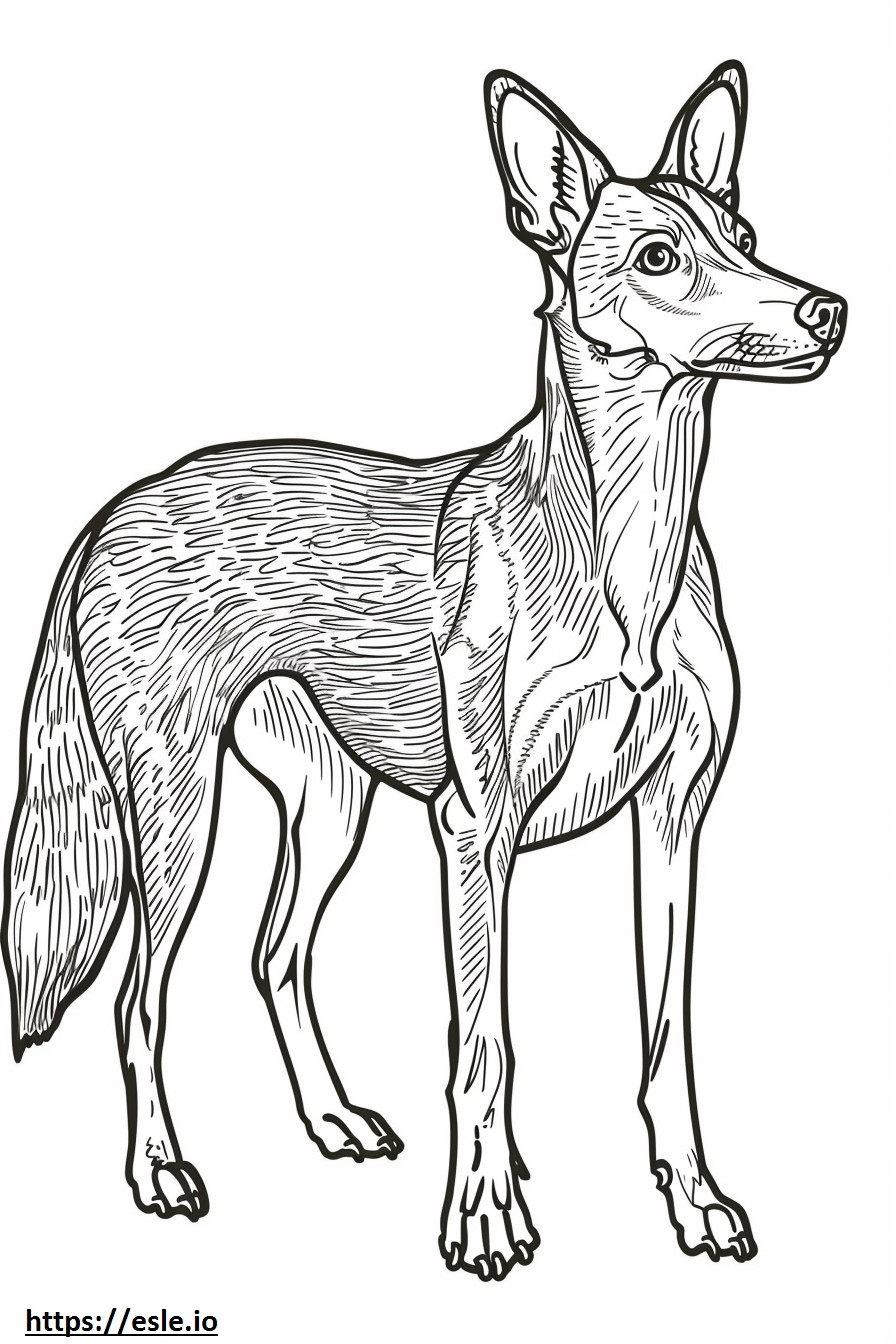 Coloriage Foxhound américain Kawaii à imprimer