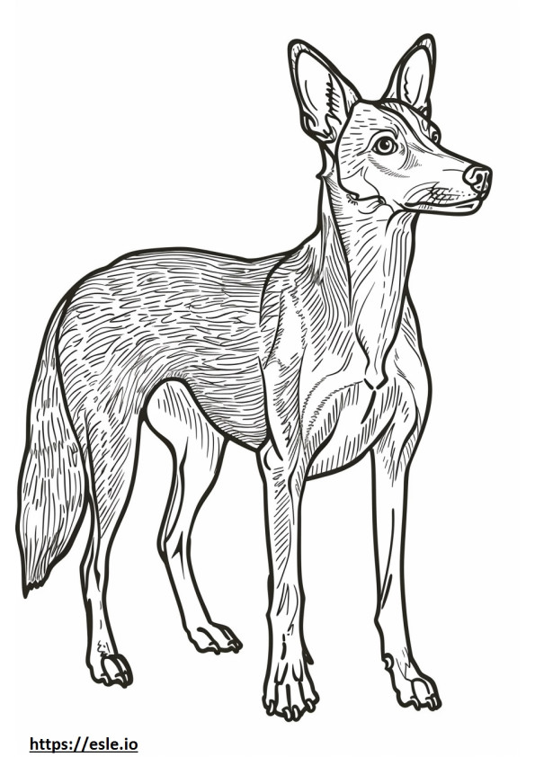 Foxhound american Kawaii de colorat