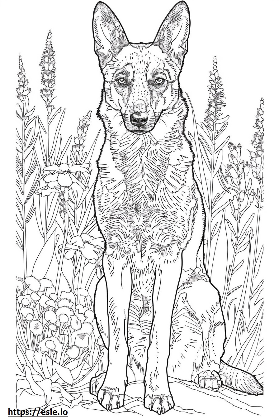 Amerikaanse Foxhound-vriendelijk kleurplaat kleurplaat