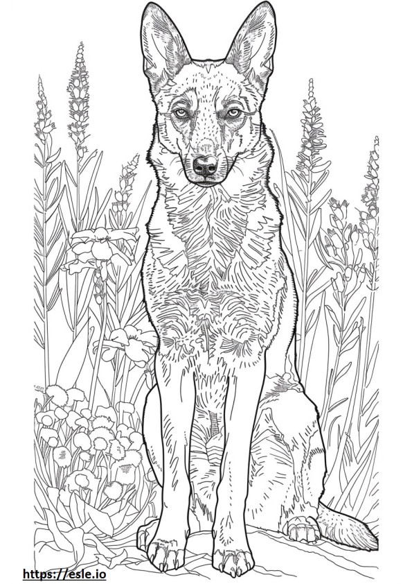 Coloriage Amical pour les Foxhounds américains à imprimer