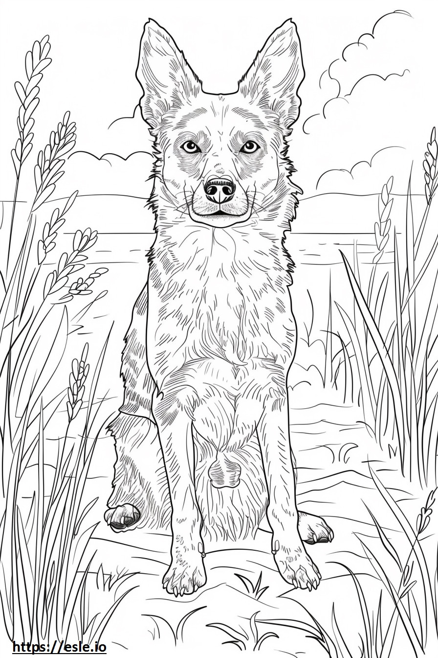 Coloriage Amical pour les Foxhounds américains à imprimer