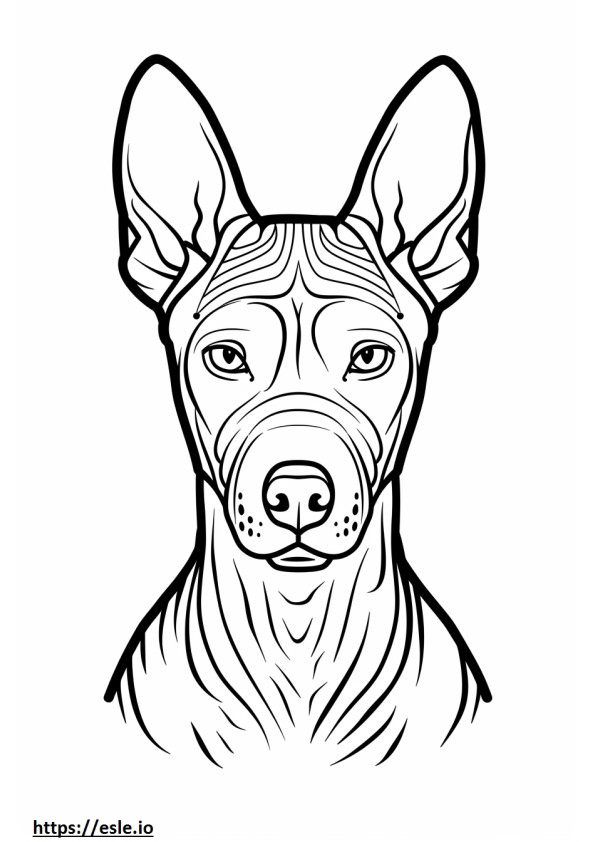 American Hairless Terrier face coloring page