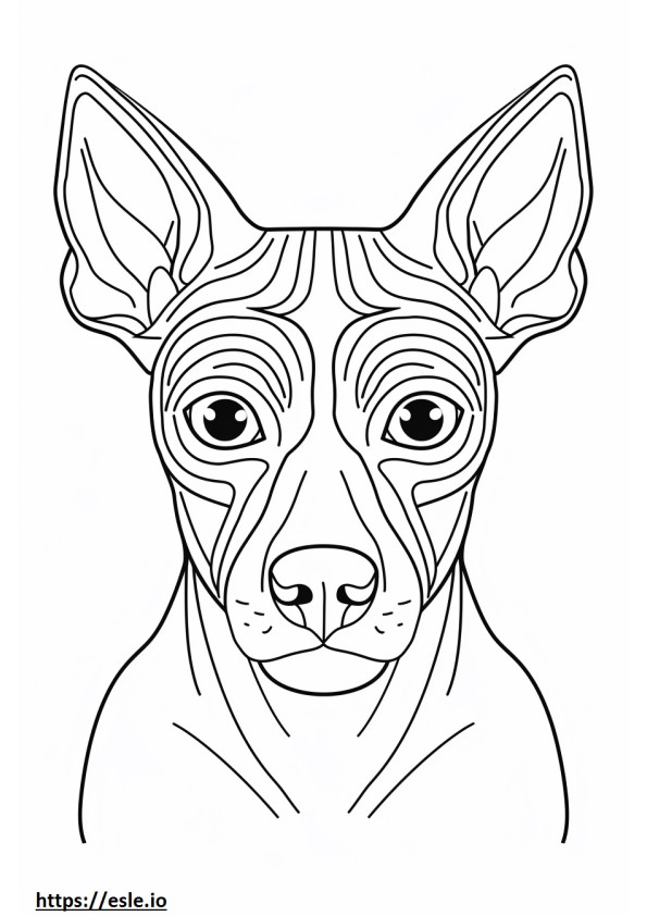 Coloriage Visage de l'American Hairless Terrier à imprimer