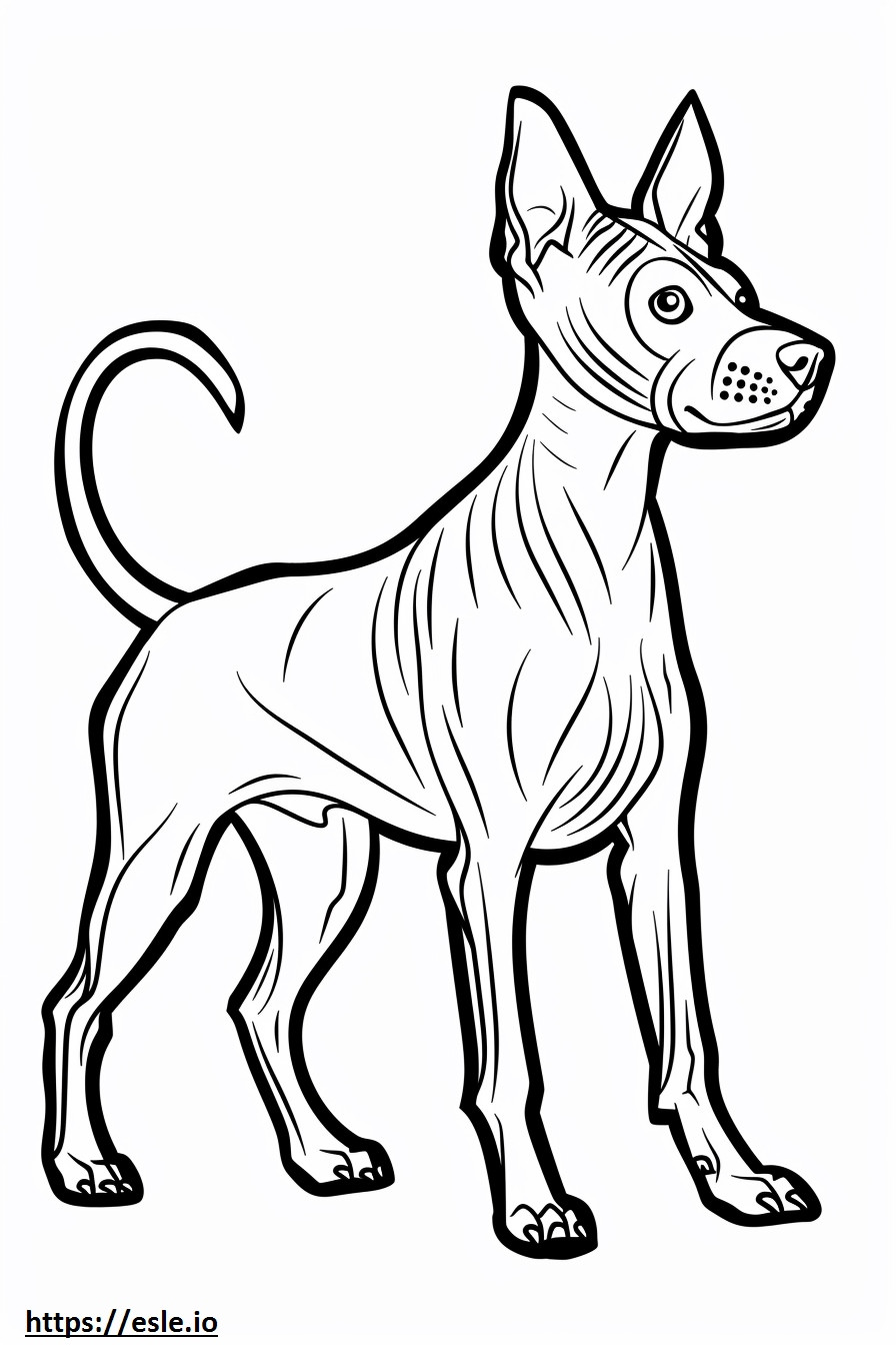 American Hairless Terrier cartoon coloring page