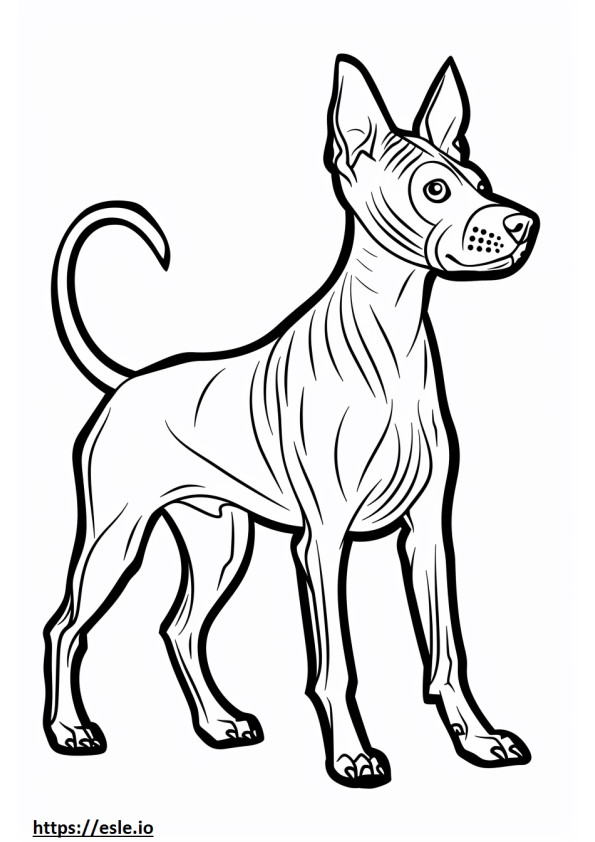 American Hairless Terrier cartoon coloring page