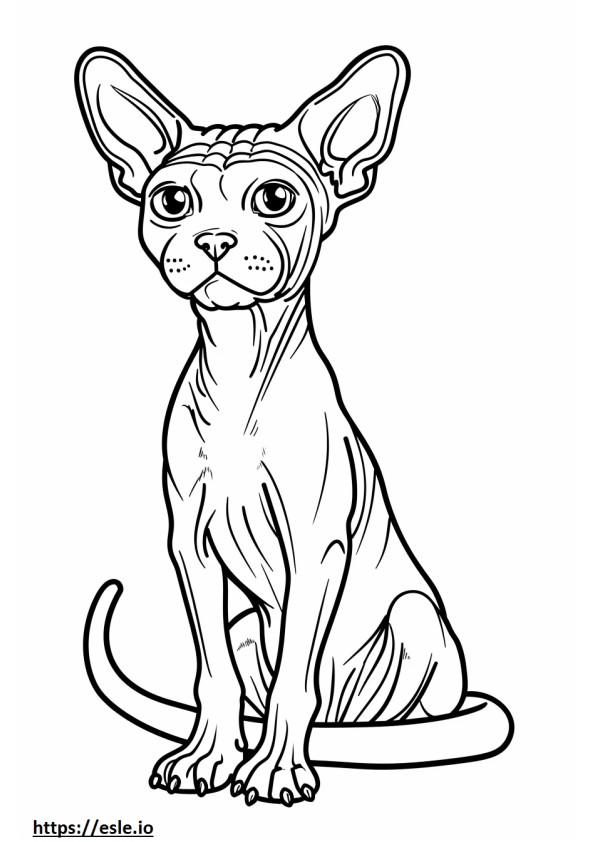American Hairless Terrier happy coloring page