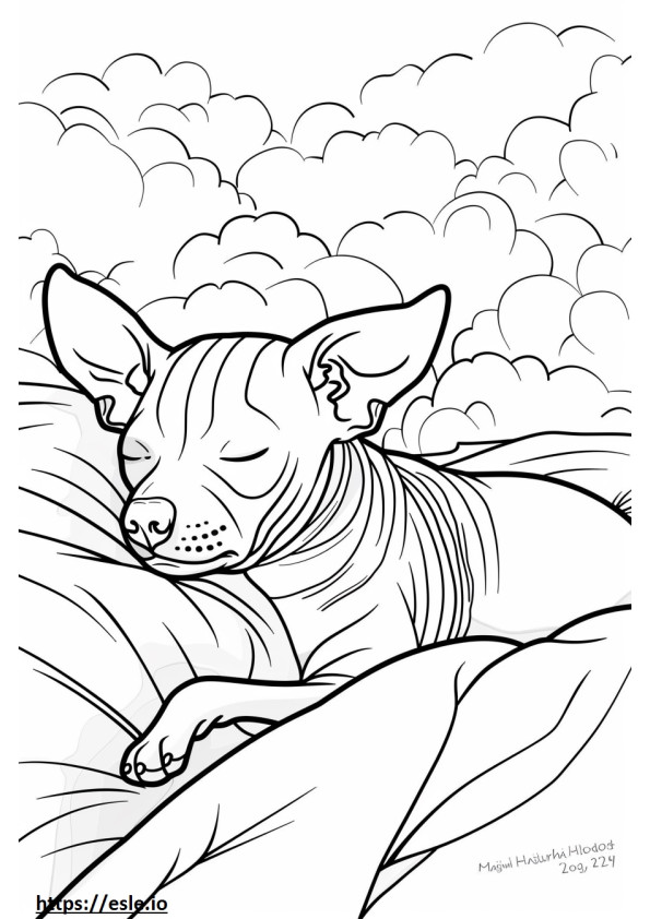 Tidur Terrier Tak Berbulu Amerika gambar mewarnai