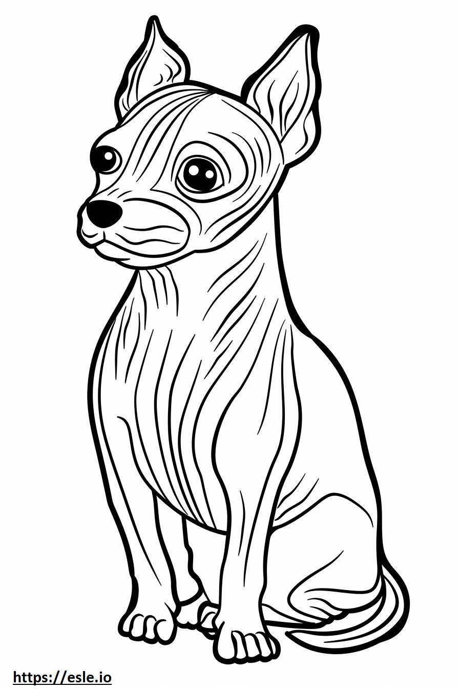 Terrier calvo americano Kawaii para colorir