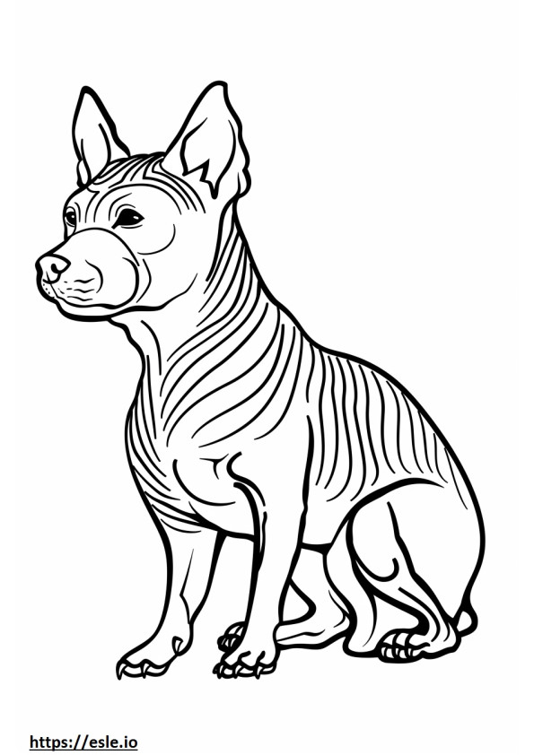 American Hairless Terrier Kawaii coloring page