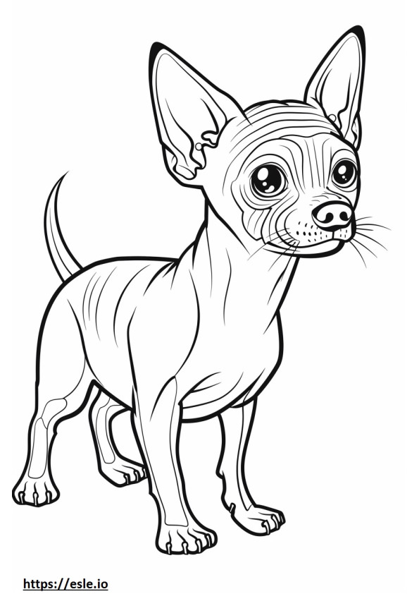 Terrier americano sin pelo Kawaii para colorear e imprimir