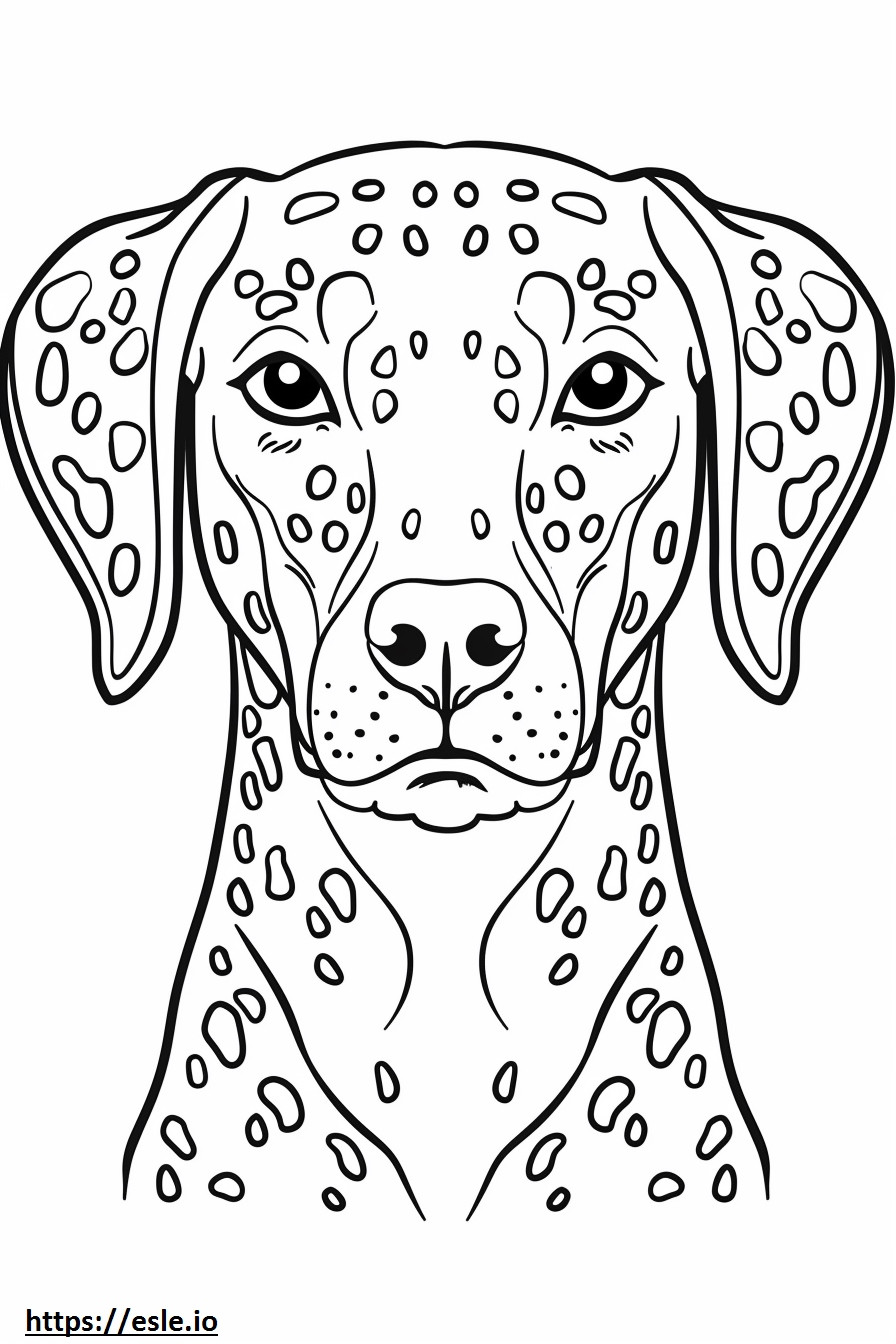 Cara de cão leopardo americano para colorir