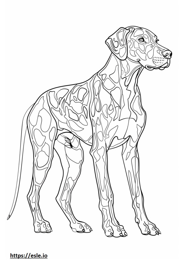 Corpo inteiro do cão leopardo americano para colorir