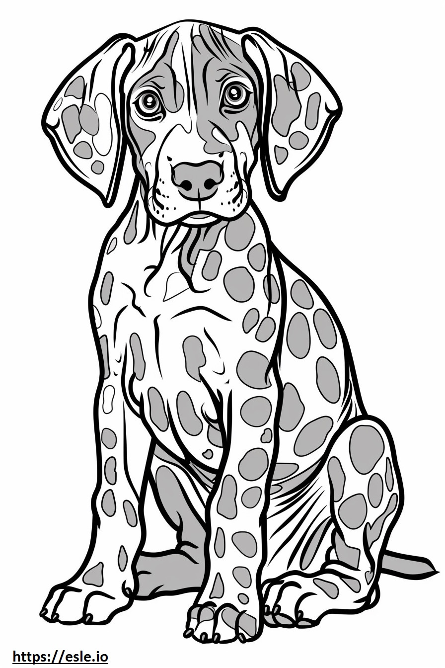 Filhote de cão leopardo americano para colorir