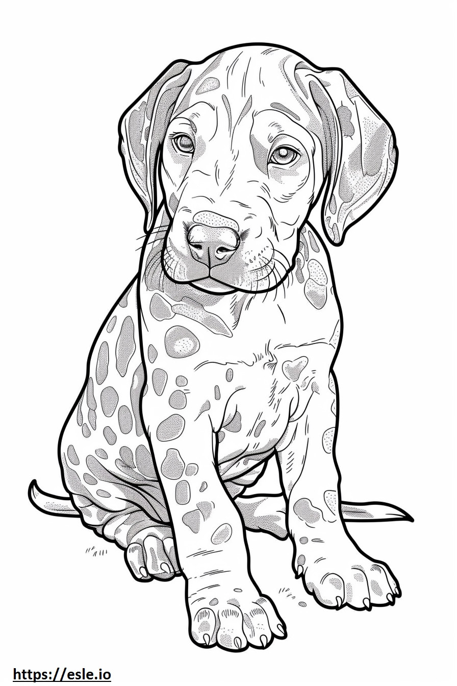 American Leopard Hound baby coloring page