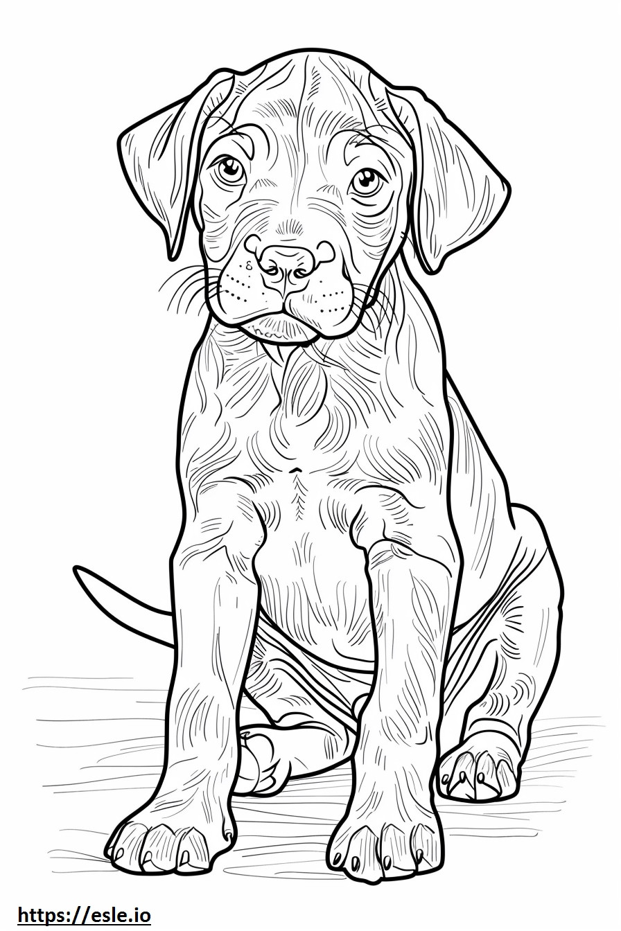 American Leopard Hound baby coloring page