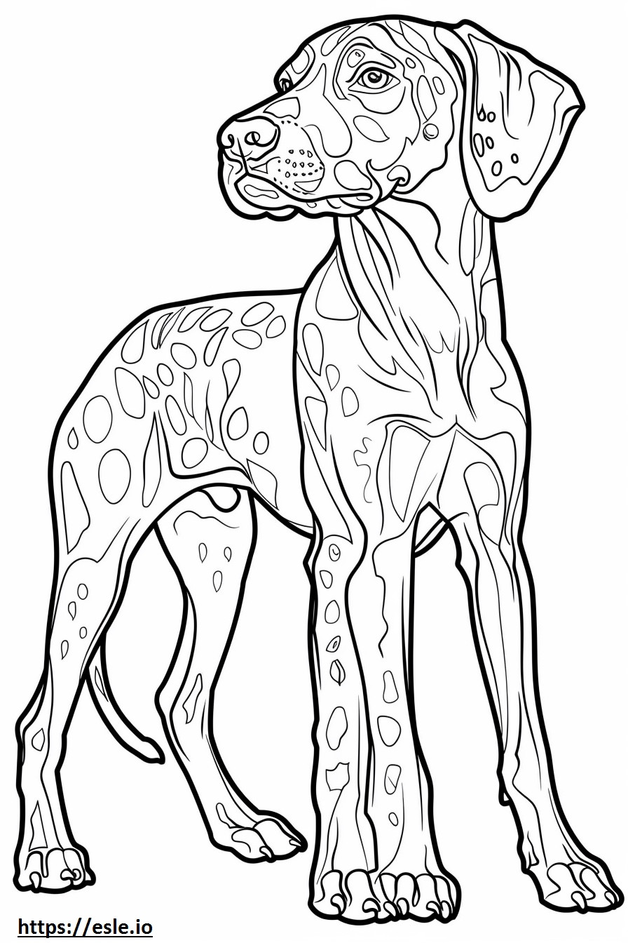 American Leopard Hound cartoon coloring page