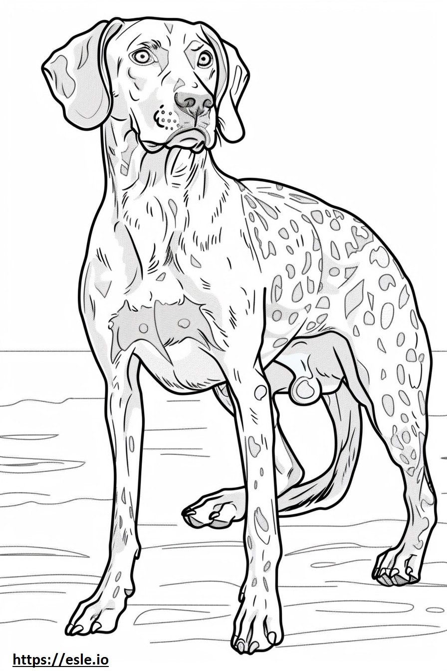 Cartoon van de Amerikaanse luipaardhond kleurplaat kleurplaat