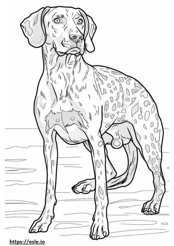 American Leopard Hound sarjakuva värityskuva