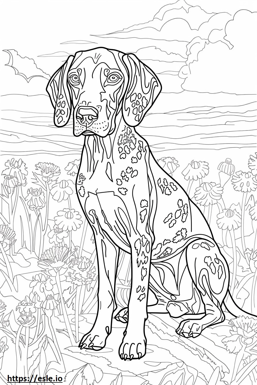 Desenho animado do cão leopardo americano para colorir