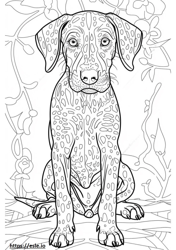 American Leopard Hound cute coloring page