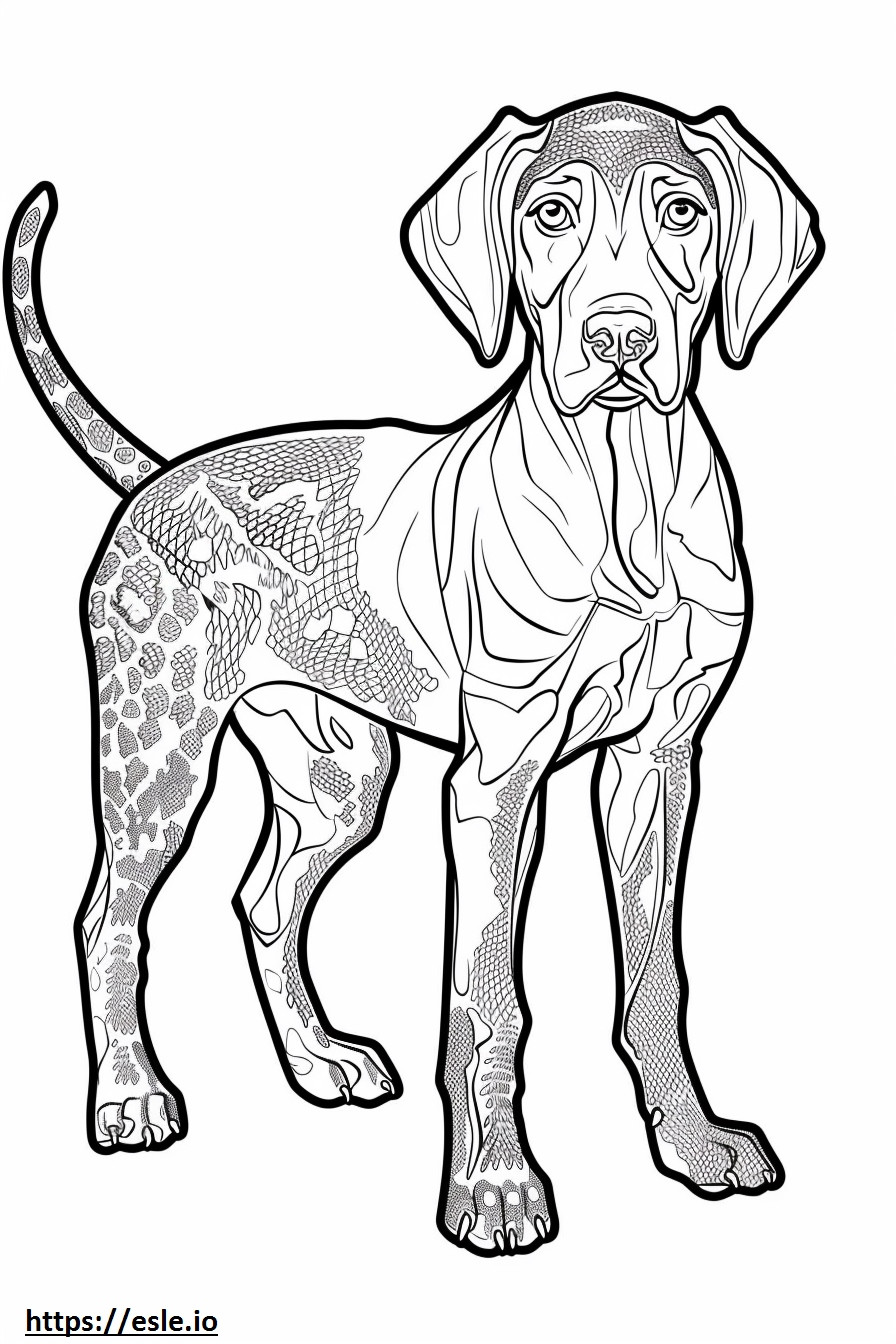 American Leopard Hound cute coloring page