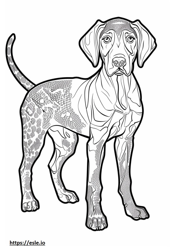 Cão Leopardo Americano fofo para colorir