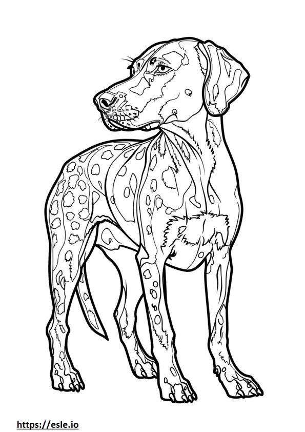 American Leopard Hound happy coloring page