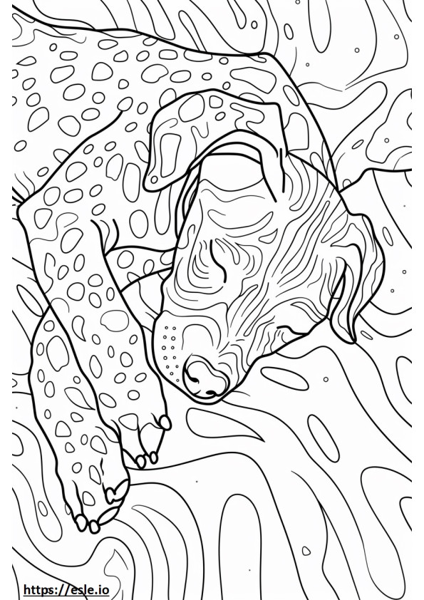 American Leopard Hound Sleeping coloring page
