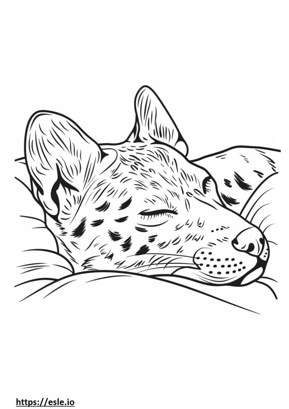 Amerikkalainen leopardikoira nukkuu värityskuva