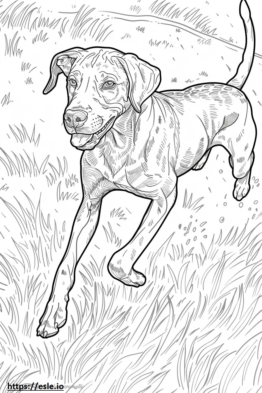American Leopard Hound Playing coloring page