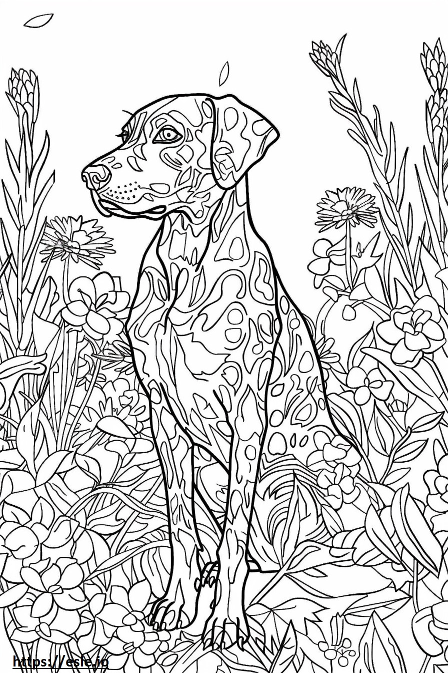 American Leopard Hound Kawaii coloring page