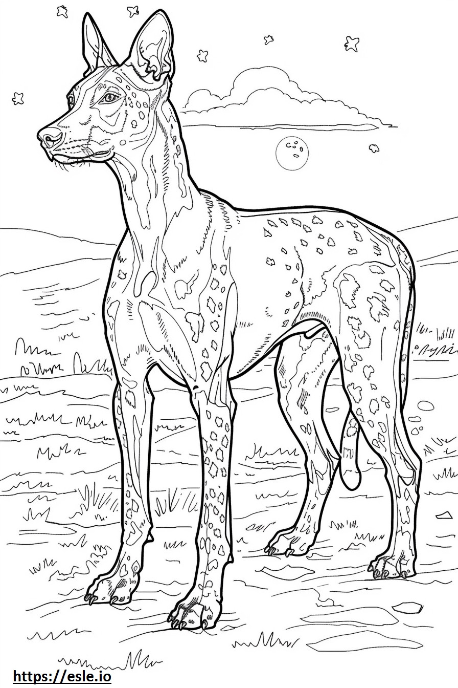 Cão Leopardo Americano Kawaii para colorir
