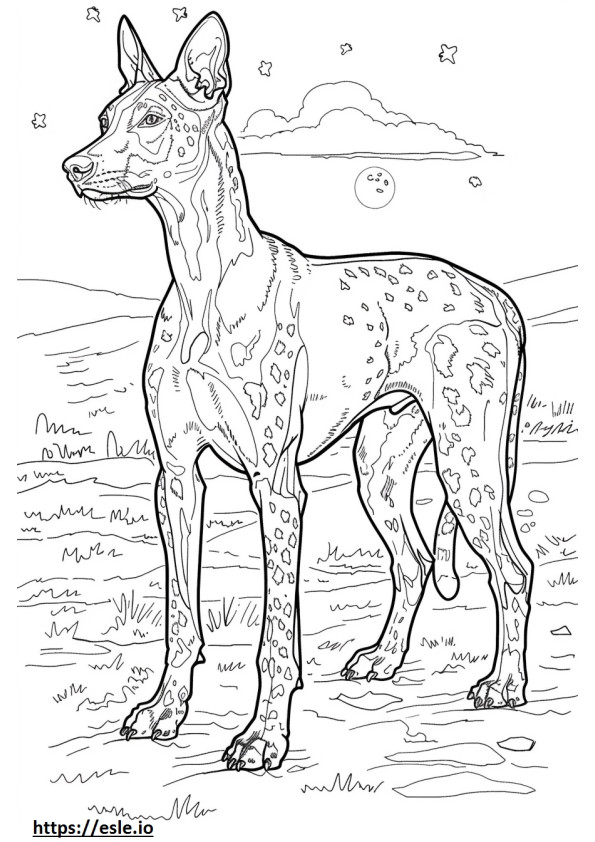 Amerykański pies lampartowy Kawaii kolorowanka