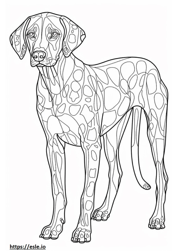 American Leopard Hound Friendly coloring page