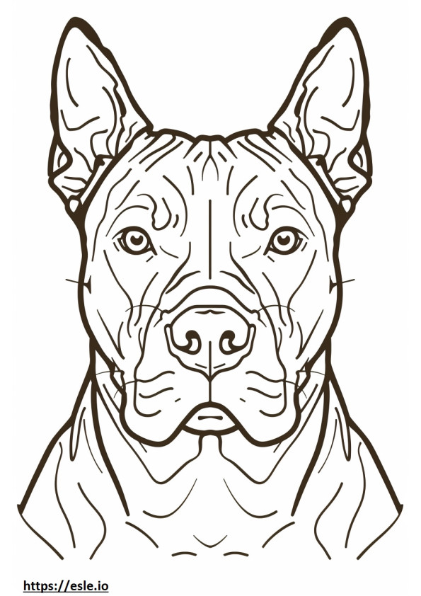 Gezicht van de Amerikaanse Pit Bull Terrier kleurplaat