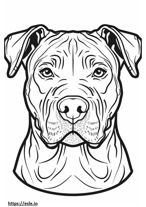 Gezicht van de Amerikaanse Pit Bull Terrier kleurplaat