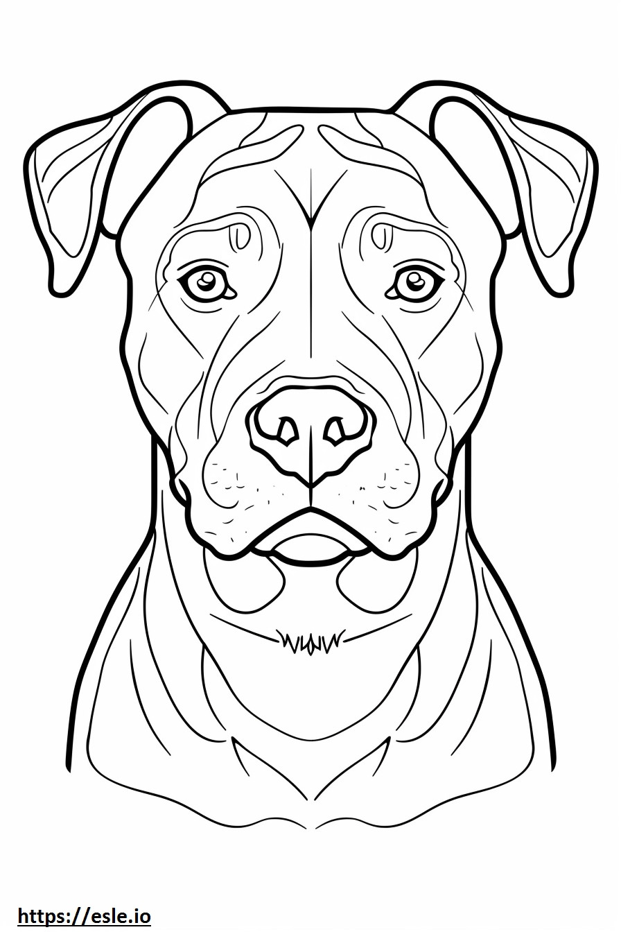 Gezicht van de Amerikaanse Pit Bull Terrier kleurplaat kleurplaat