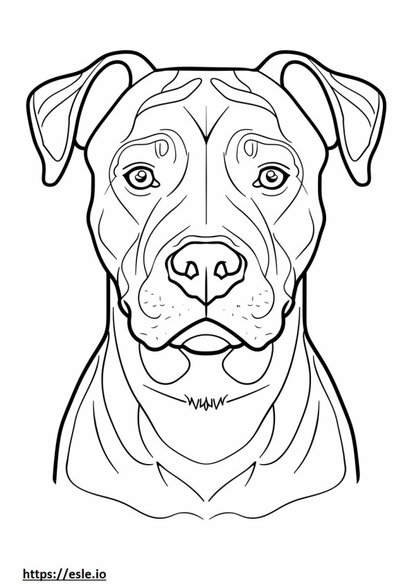 Cara de Pit Bull Terrier Americano para colorir