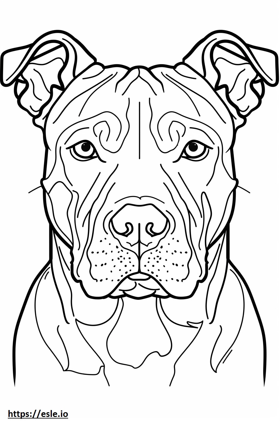 Gezicht van de Amerikaanse Pit Bull Terrier kleurplaat kleurplaat
