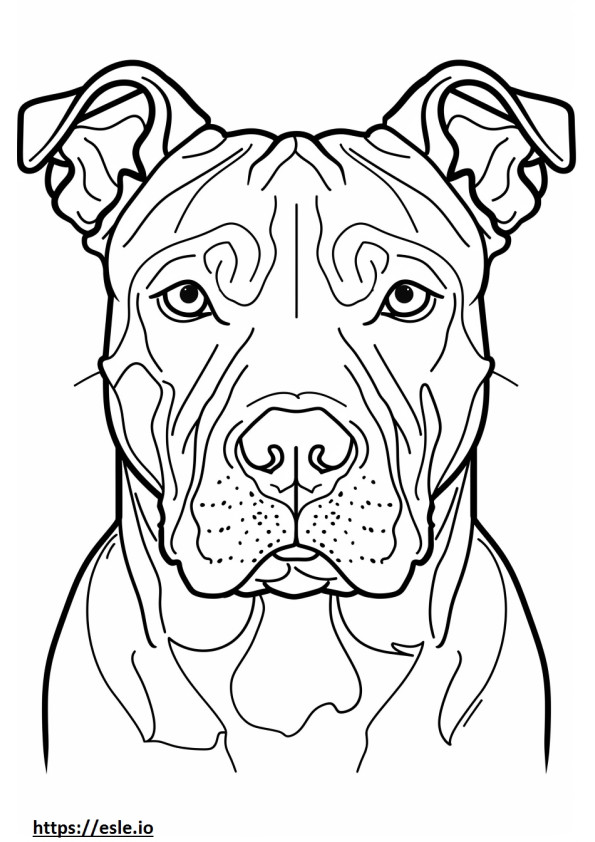 American Pit Bull Terrier face coloring page
